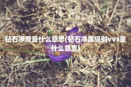 钻石净度是什么意思(钻石净度级别vvs是什么意思)