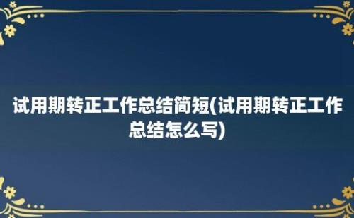 试用期转正工作总结简短(试用期转正工作总结怎么写)