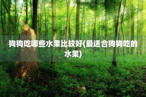 狗狗吃哪些水果比较好(最适合狗狗吃的水果)