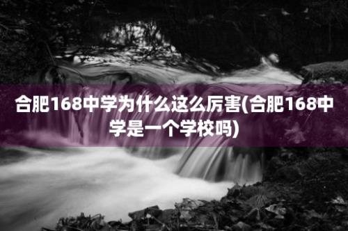 合肥168中学为什么这么厉害(合肥168中学是一个学校吗)