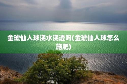 金琥仙人球浇水浇透吗(金琥仙人球怎么施肥)