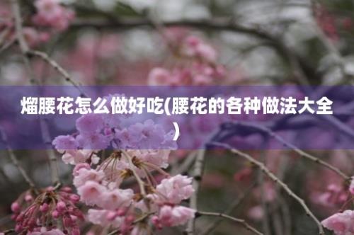 熘腰花怎么做好吃(腰花的各种做法大全)