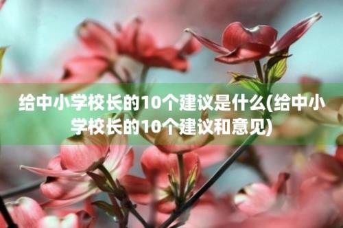 给中小学校长的10个建议是什么(给中小学校长的10个建议和意见)