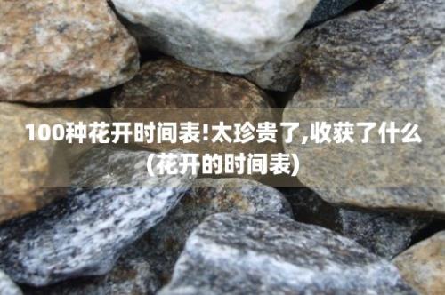 100种花开时间表!太珍贵了,收获了什么(花开的时间表)