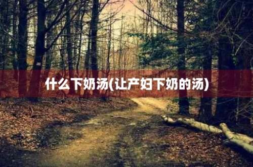 什么下奶汤(让产妇下奶的汤)