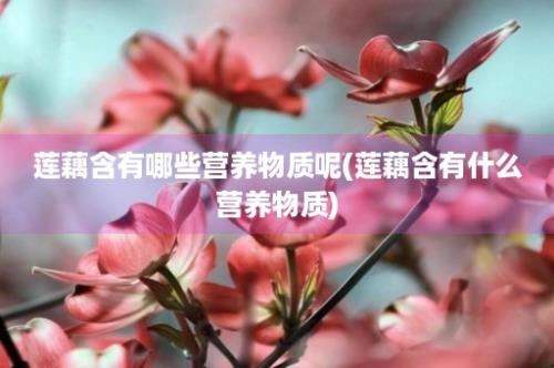 莲藕含有哪些营养物质呢(莲藕含有什么营养物质)