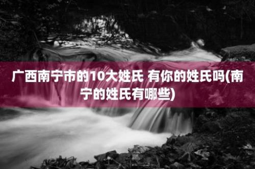 广西南宁市的10大姓氏 有你的姓氏吗(南宁的姓氏有哪些)