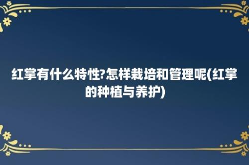 红掌有什么特性?怎样栽培和管理呢(红掌的种植与养护)