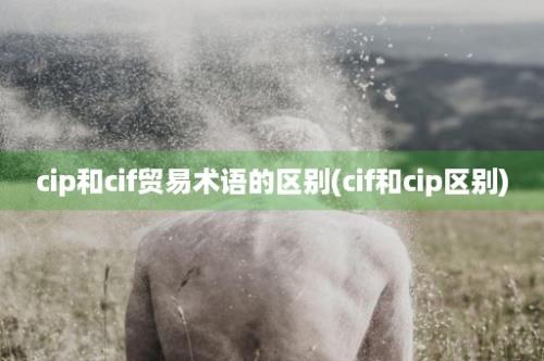 cip和cif贸易术语的区别(cif和cip区别)