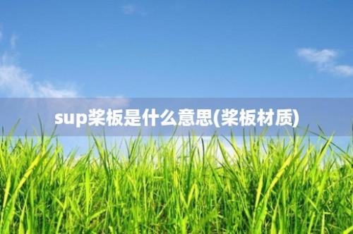 sup桨板是什么意思(桨板材质)