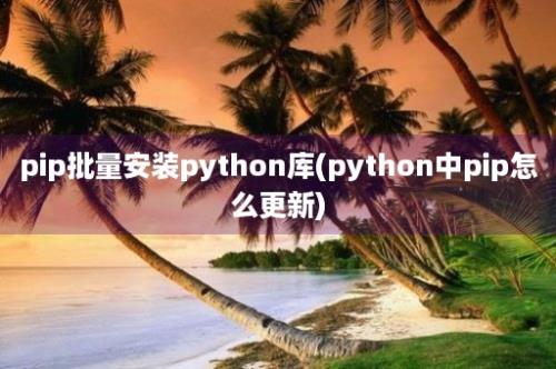 pip批量安装python库(python中pip怎么更新)