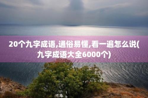 20个九字成语,通俗易懂,看一遍怎么说(九字成语大全6000个)