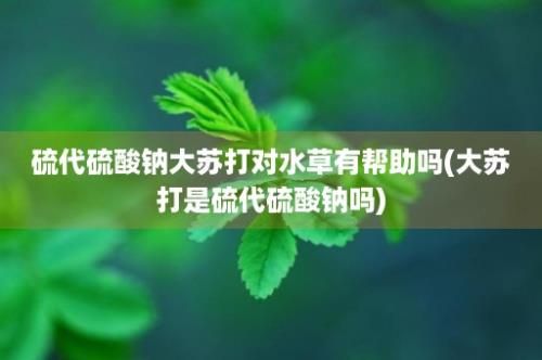 硫代硫酸钠大苏打对水草有帮助吗(大苏打是硫代硫酸钠吗)