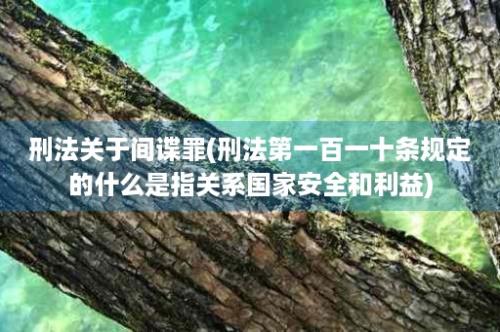 刑法关于间谍罪(刑法第一百一十条规定的什么是指关系国家安全和利益)