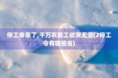 停工令来了,千万农民工欲哭无泪(2停工令有哪些省)