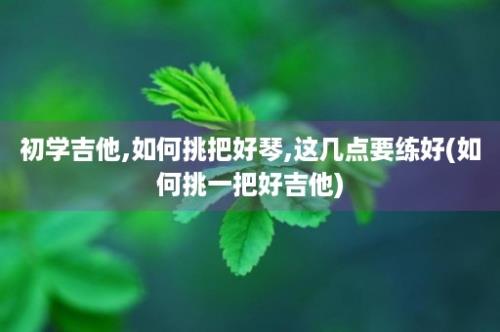 初学吉他,如何挑把好琴,这几点要练好(如何挑一把好吉他)