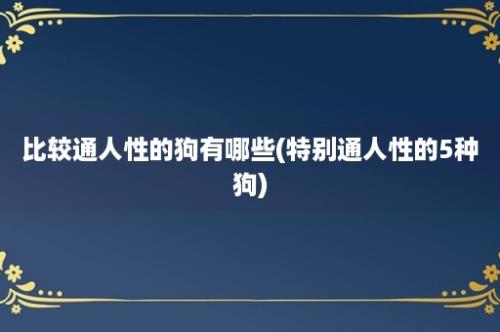 比较通人性的狗有哪些(特别通人性的5种狗)