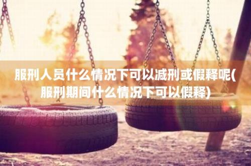 服刑人员什么情况下可以减刑或假释呢(服刑期间什么情况下可以假释)