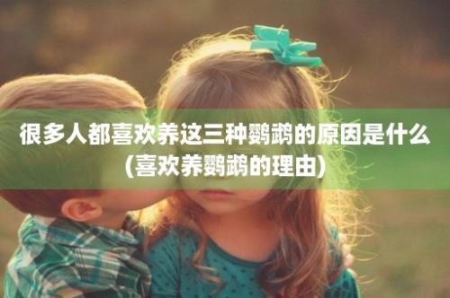 很多人都喜欢养这三种鹦鹉的原因是什么(喜欢养鹦鹉的理由)