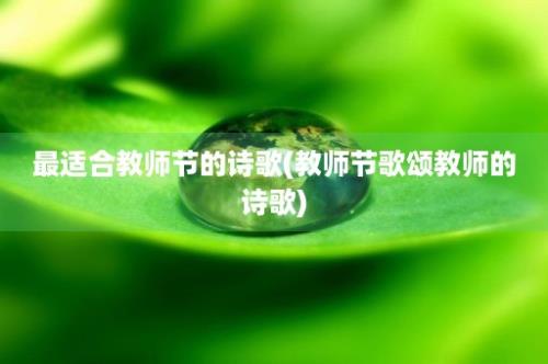 最适合教师节的诗歌(教师节歌颂教师的诗歌)