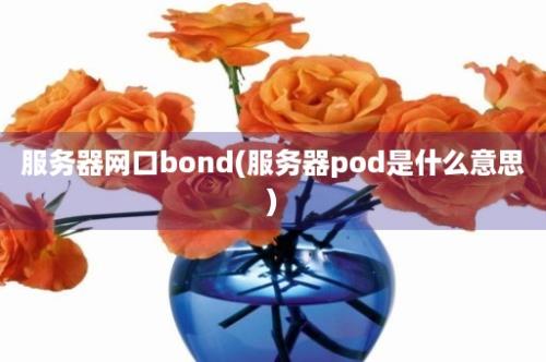 服务器网口bond(服务器pod是什么意思)