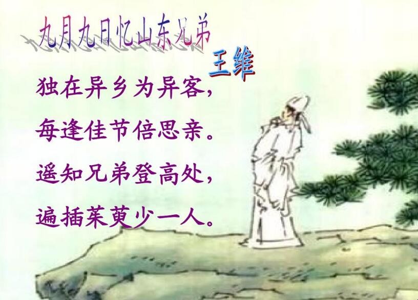 独在异乡为异客，每逢佳节倍思亲指的是什么节日