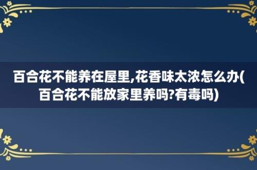 百合花不能养在屋里,花香味太浓怎么办(百合花不能放家里养吗?有毒吗)