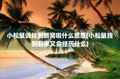 小松鼠说找到新窝啦什么意思(小松鼠找到新家又会经历什么)