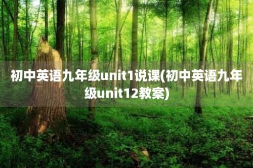 初中英语九年级unit1说课(初中英语九年级unit12教案)