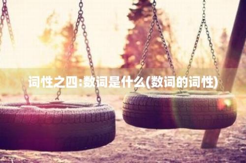 词性之四:数词是什么(数词的词性)