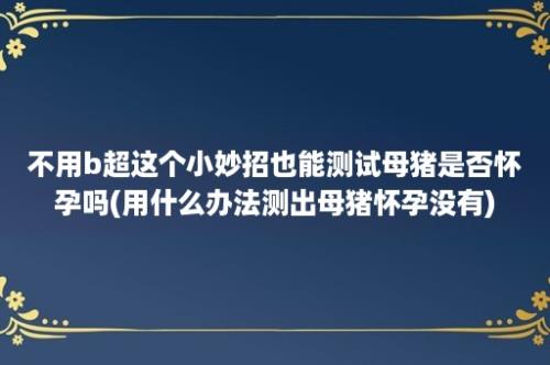 不用b超这个小妙招也能测试母猪是否怀孕吗(用什么办法测出母猪怀孕没有)