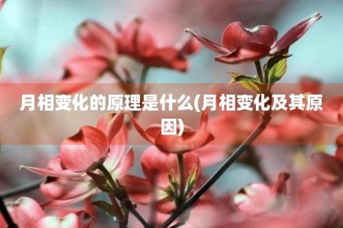 月相变化的原理是什么(月相变化及其原因)