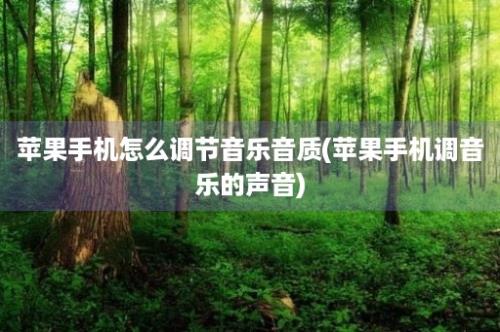 苹果手机怎么调节音乐音质(苹果手机调音乐的声音)