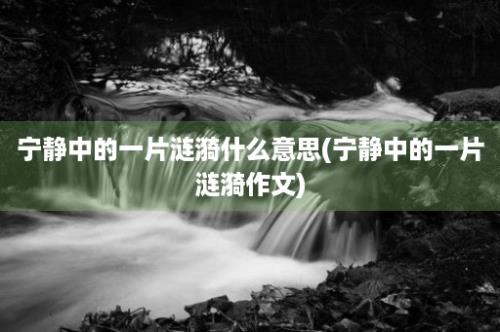 宁静中的一片涟漪什么意思(宁静中的一片涟漪作文)