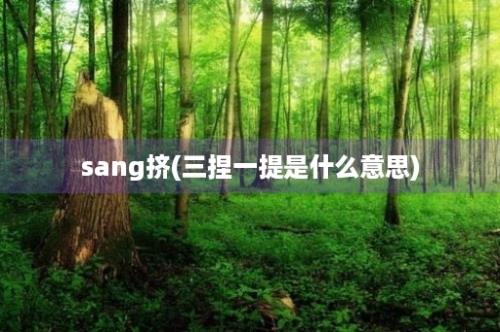 sang挤(三捏一提是什么意思)