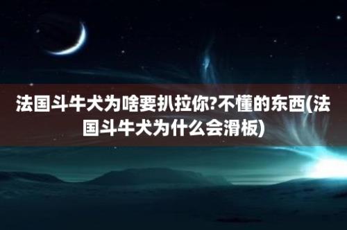 法国斗牛犬为啥要扒拉你?不懂的东西(法国斗牛犬为什么会滑板)