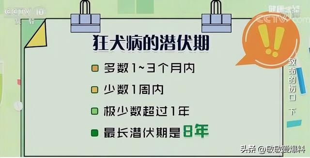 狂犬病潜伏期十几年（狂犬病潜伏期十几年有没有科学依据）(2)