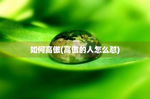 如何高傲(高傲的人怎么怼)