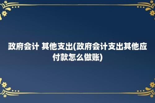 政府会计 其他支出(政府会计支出其他应付款怎么做账)