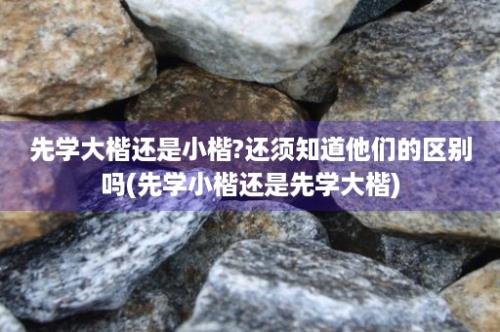 先学大楷还是小楷?还须知道他们的区别吗(先学小楷还是先学大楷)