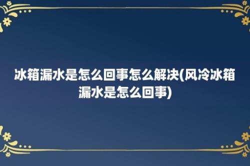 冰箱漏水是怎么回事怎么解决(风冷冰箱漏水是怎么回事)