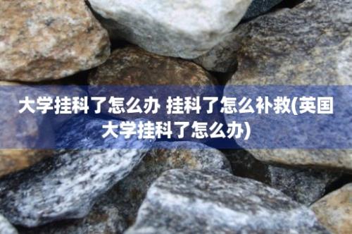 大学挂科了怎么办 挂科了怎么补救(英国大学挂科了怎么办)