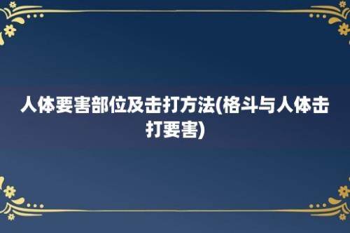 人体要害部位及击打方法(格斗与人体击打要害)