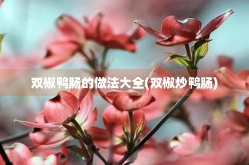 双椒鸭肠的做法大全(双椒炒鸭肠)