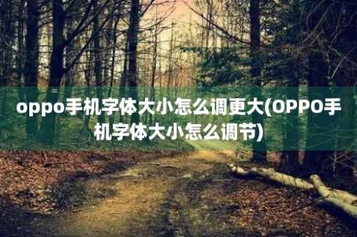 oppo手机字体大小怎么调更大(OPPO手机字体大小怎么调节)