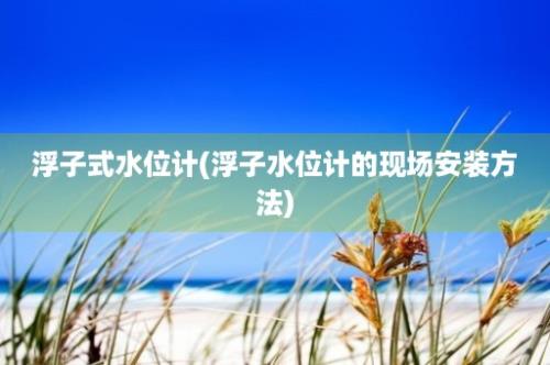 浮子式水位计(浮子水位计的现场安装方法)