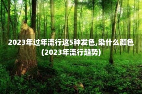 2023年过年流行这5种发色,染什么颜色(2023年流行趋势)