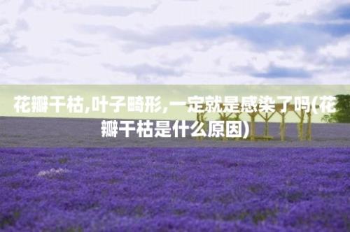 花瓣干枯,叶子畸形,一定就是感染了吗(花瓣干枯是什么原因)