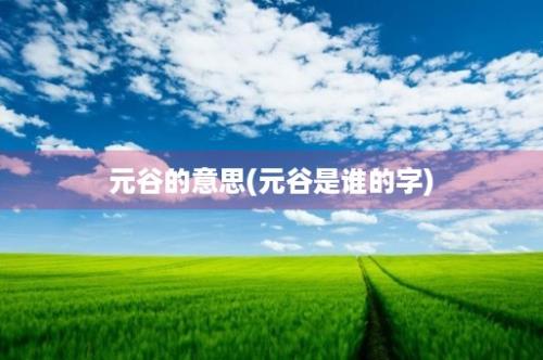 元谷的意思(元谷是谁的字)