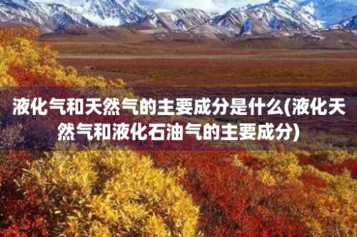 液化气和天然气的主要成分是什么(液化天然气和液化石油气的主要成分)